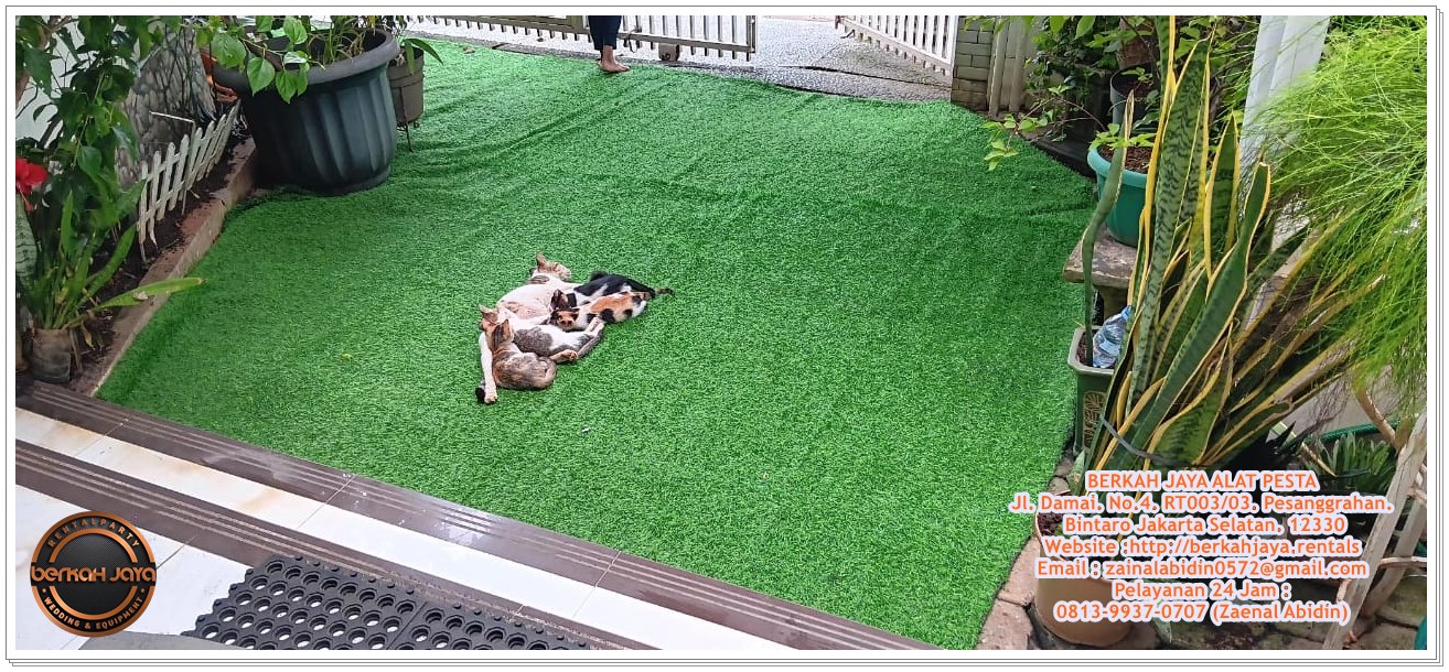 Jasa Penyewaan Karpet Rumput Sintetis Daerah Jakarta Pusat Harga Murah